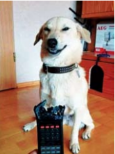 साेशल मीडियावरचा कुत्रा का रागावला?